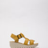 Judd – Image 2